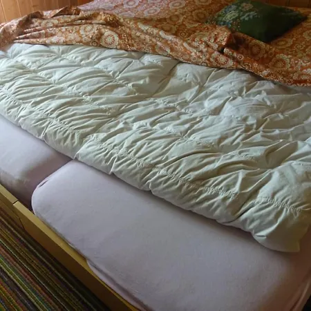 Schiefe Haus By Interhome